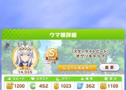ペッパー様専用