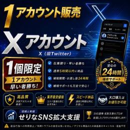 X OLDアカウント×1💗2009年～2022年製