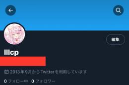 ♡格安♡Twitter (X) OLDアカウントオールグリーン 即ログイン.メアパス変更可能