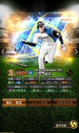 日本ハム純正