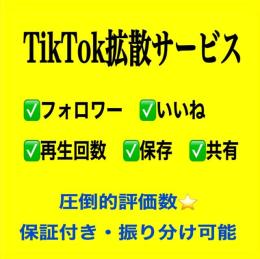 TikTok1,000人フォロワー増加/高品質！【減少保証付】