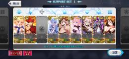 水着伊吹宝具5、モルガン宝具5、アルクェイド宝具5、その他人権鯖複数