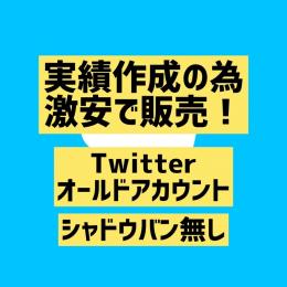 【シャドウバン無し】Twitterオールド垢×4