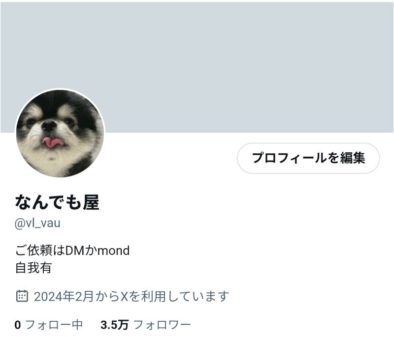 出品画像