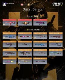 SR迷彩豊富なアカウント