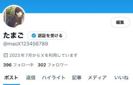 アダルト系アカウント