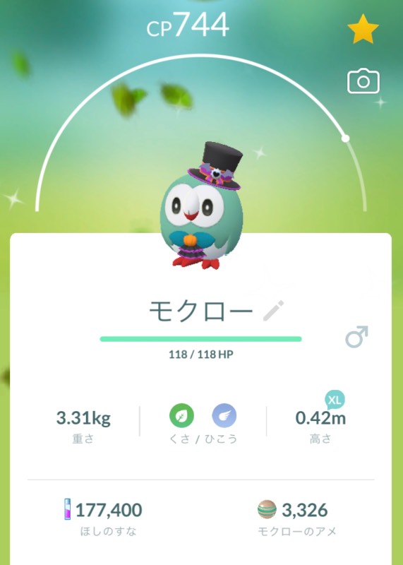 出品画像