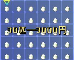 ポケモンSV 色違い確定卵　6V ブラインドボックス 30匹/3000円