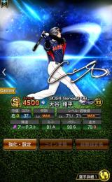 日本ハム純正　