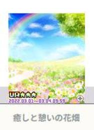 癒しと憩いの花畑