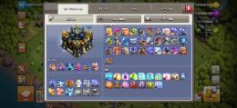 th17 bh10