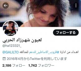 🌟Twitterフォロワーアカウント🌟