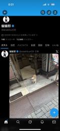 水商売アカウント　※ツイート削除済み※