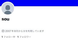 【凍結歴が0の美品🔥】2007年産  Twitter(X)アカウント 【売り切れ御免🔥】