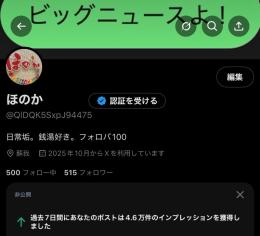日本人垢 フォロワー数500↑ 1から育てた 自己運用アカ