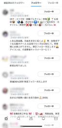 🌸 日本人フォロワー1,100人↑【日本人割合100%】Twitter X アカウント 🌸