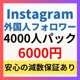 【4000人パック】Instagram多国籍フォロワー4000人増加