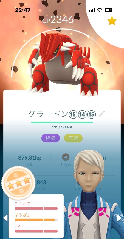 出品画像