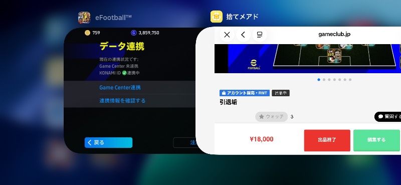 出品画像