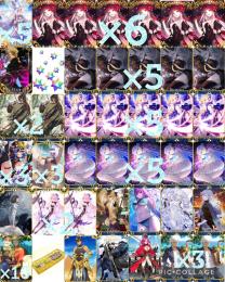 神垢✨石3541個分🔵黒の聖杯完凸+冬の聖女完凸✨リリス、アルク、水着カーマら宝具5✨人権網羅、限定