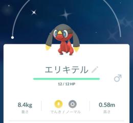 おすすめ☺️ 【国産色違い】エリキテル♂3匹アカウント