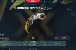 ❗️即対応❗️希望スキン販売します！在庫処分のため格安