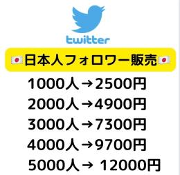 【業界最安値】Twitter日本人フォロワー1000人増加