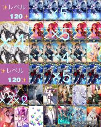 覇権 🔵石8212個分✨Lv120 Uオルガマリー、水着紅閻魔、Lv120ソロモンら宝具5✨人権網羅