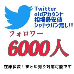 🔥シャドウバン無し🔥 フォロワー6500人↑ パスワード付きの簡単ログイン〖完全クリーン済✓〗