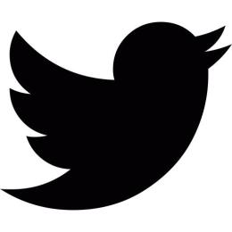 [シャドウバン無し・メール認証済] 高品質Twitter(X)アカウント×5 [即購入可]