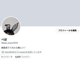  Twitter（X） 微エロアカウント4500人