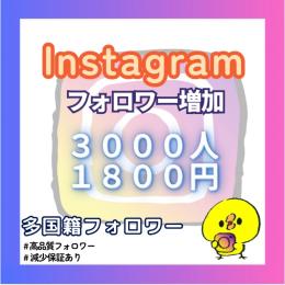 【高品質】Instagram多国籍フォロワー＋3000人増やします！【減少保証付】