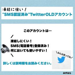 【🌟業界最安値🌟】"SMS認証済み"OLDアカウント×10 / シャドウバン無し！