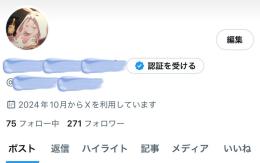 「今から始める方向け｣サーチバンなしフォロワー360人越えアカウント