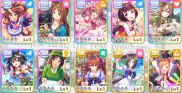 SSR8枚 キタサン1凸、たづな、トウカイ、ニシノ、サトノ、スマートファルコン、グラスワンダー