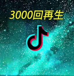 TikTok 再生回数増加＋3000回【30日間の減少保証付】