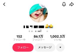 【最高月収483万】フォロワー86万人/収益化済み/動画付き