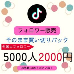 【最安値！】高品質TikTok外国人フォロワー5000人増加代行