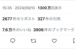 インプ1299万 いいね7万 フォロワー6000人 保証有り
