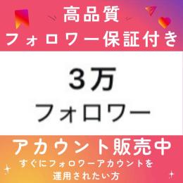 3万人フォロワーアカウント〈複数垢購入◎〉〈Game・RMT実績1000件超〉