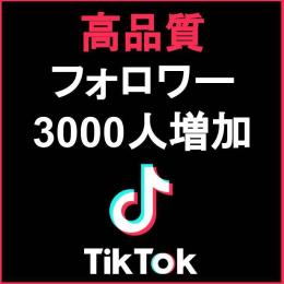 👑高品質フォロワー3000人以上増加🔥減少保証あり🔥限定価格4900円で+3000人！