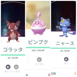 国内産色違い花飾りピンプク アローラニャース＆コラッタ アカウント販売