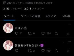 日本人リアルアクティブフォロワー！同業者のRTの仕合とは違います！フォロワー2000人