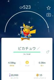 げーちさま専用