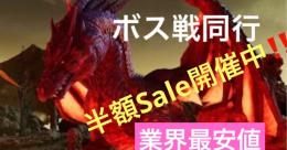 業界最安値‼️ボス戦同行半額Sale開催中🐉🦍🕷