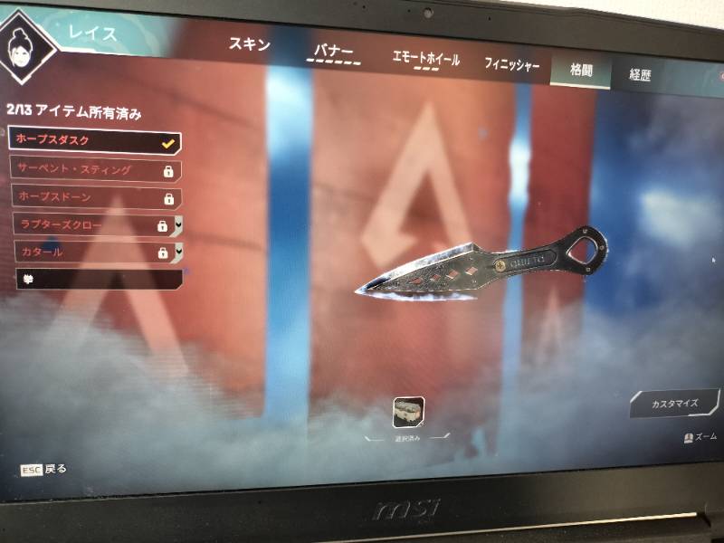 出品画像