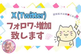 【Twitter（Ｘ）】日本人フォロワー500人増加✨