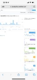 「本物良垢」[裏垢女子引退垢]インプレッション30万エンゲージメント率4%超日本人フォロワー1万人超