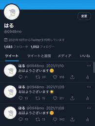 日本人フォロワー1052人　平均いいね320 超高アクティブアカウント