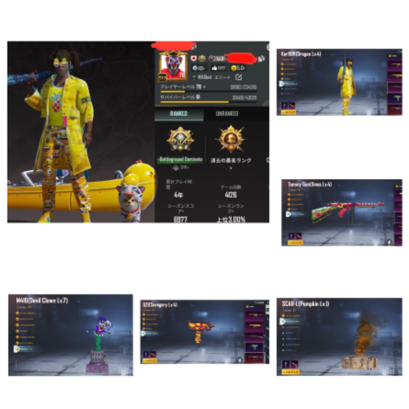 出品画像